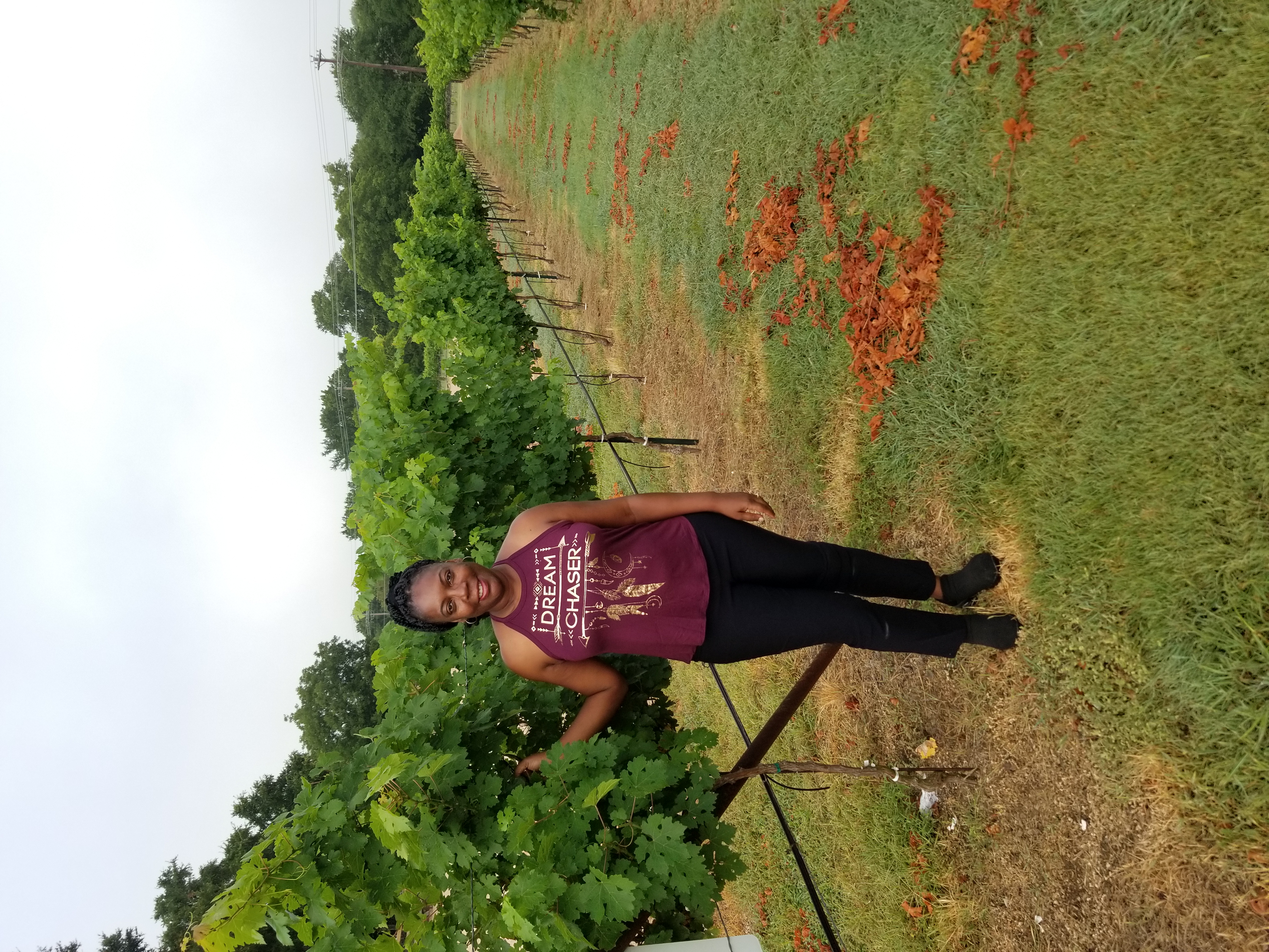 Dr. Adams standing in the Kai-Simone Winery vineyard